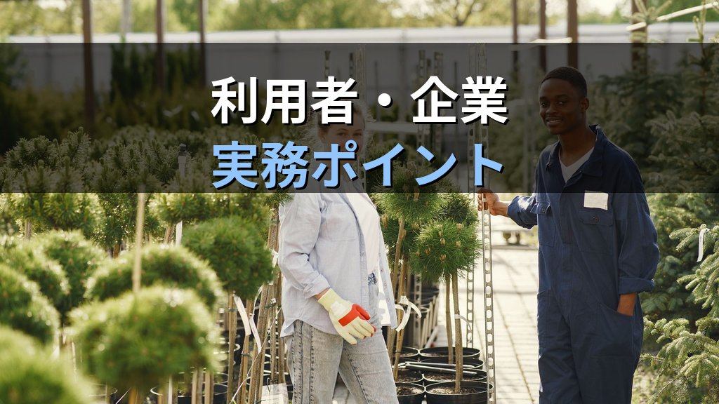 企業主導型保育事業とは|認可保育所との違い・課題と活用法【2026年版】 - 解説
